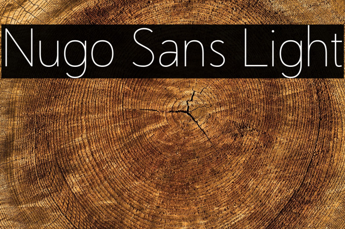 Nugo Sans Light Example 2