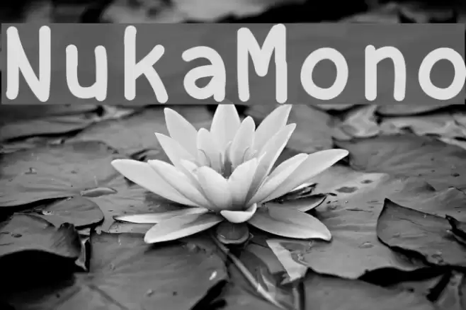 NukaMono Schriftart examples