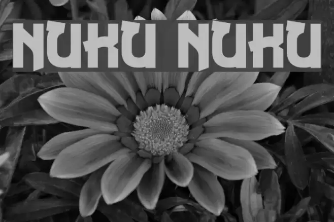 Nuku Nuku Font examples