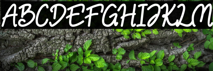 NulisoDonationware Example 1