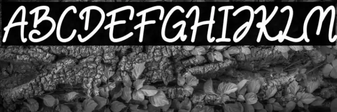 NulisoDonationware خط examples