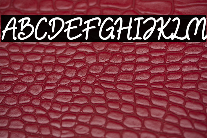 NulisoDonationware Example 3