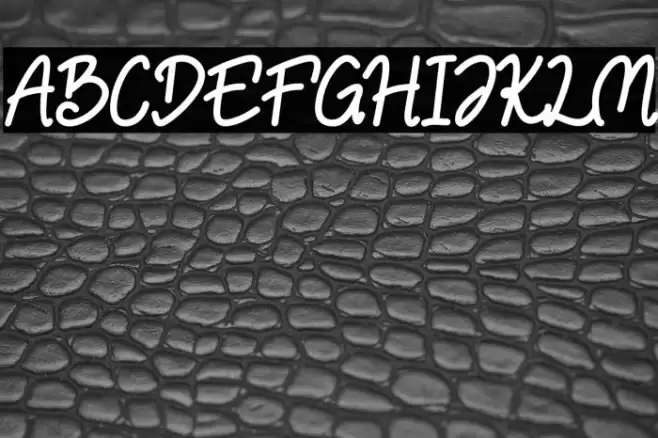 NulisoDonationware خط examples