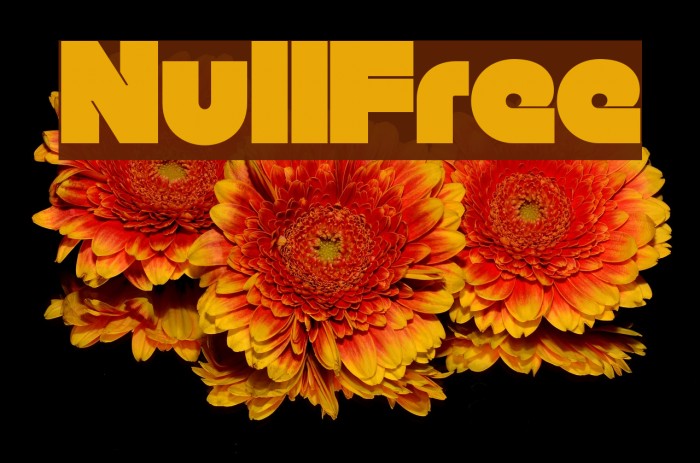 Null-Free Font examples