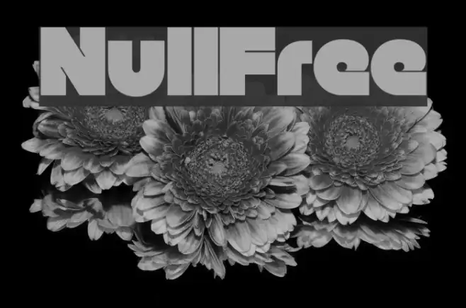 Null-Free Example 1