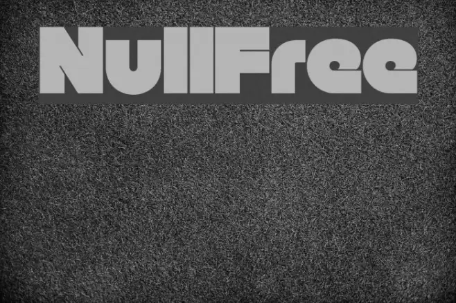 Null-Free Example 2