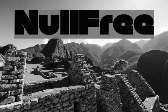 Null-Free Example 3