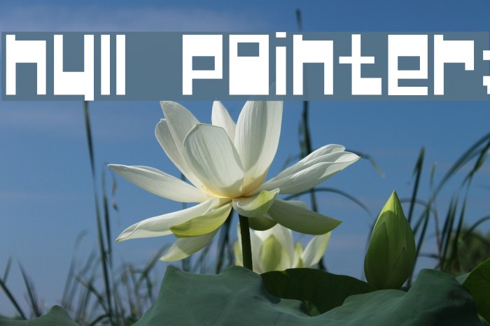 Null Pointer; Font examples