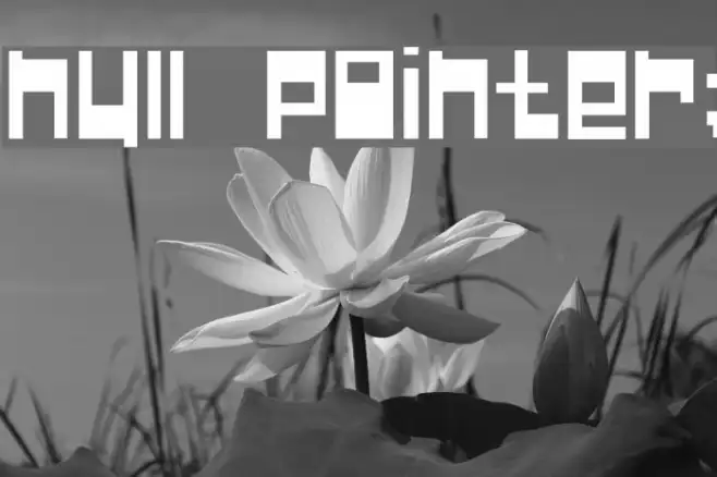 Null Pointer; Example 2