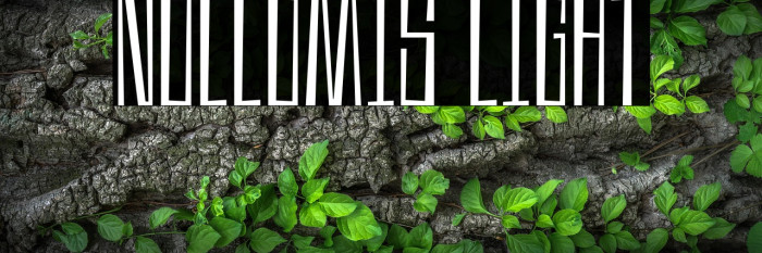 Nullomis Light Example 3