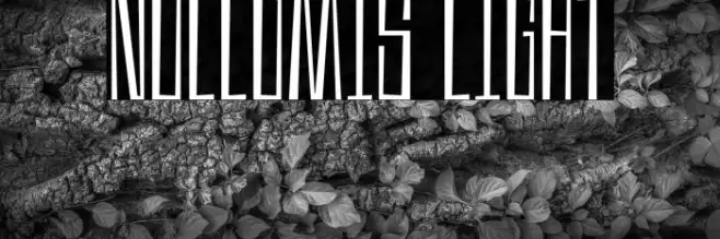 Nullomis Light Example 3