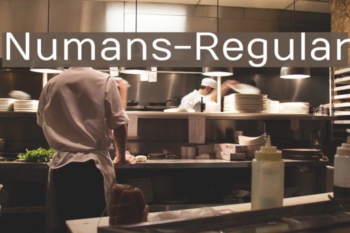 Numans-Regular Font examples