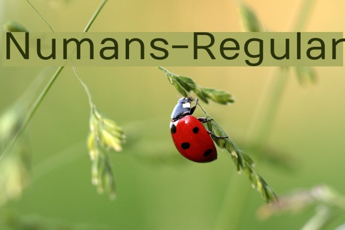 Numans-Regular Font examples