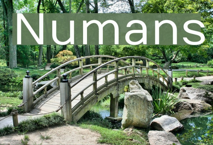 Numans Font examples