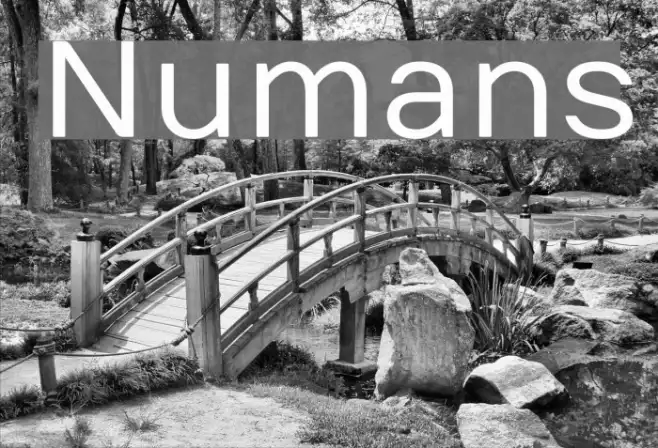 Numans Example 2