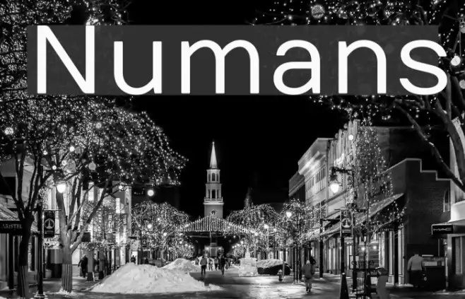 Numans Example 3