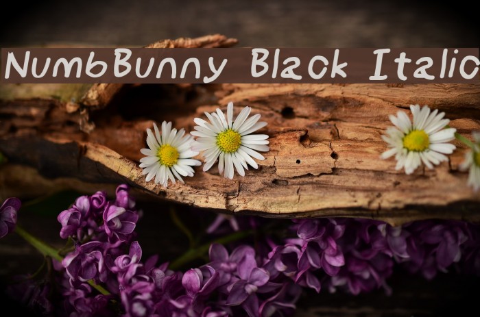 NumbBunny Black Italic Font examples