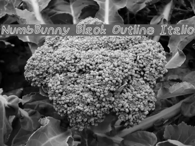 NumbBunny Black Outline Italic Font examples