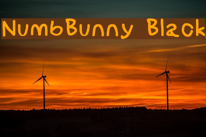 NumbBunny Black Font examples