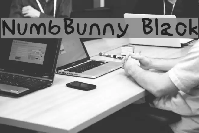 NumbBunny Black Font examples