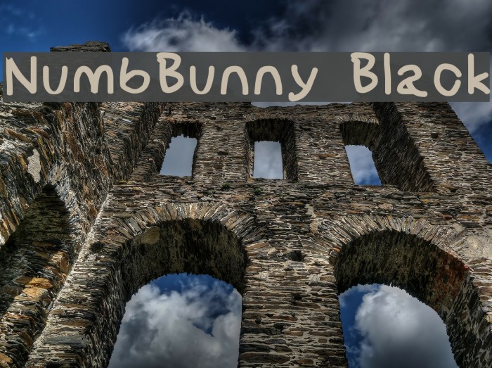 NumbBunny Black Font examples