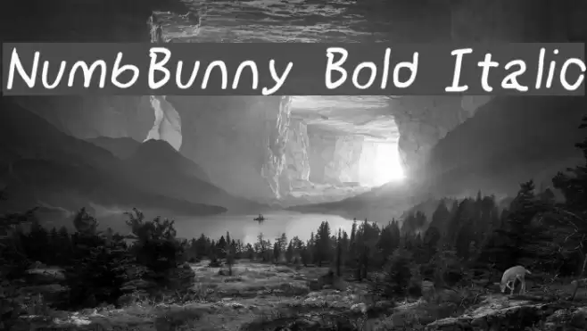NumbBunny Bold Italic examples