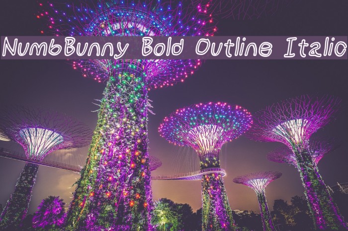 NumbBunny Bold Outline Italic Font examples
