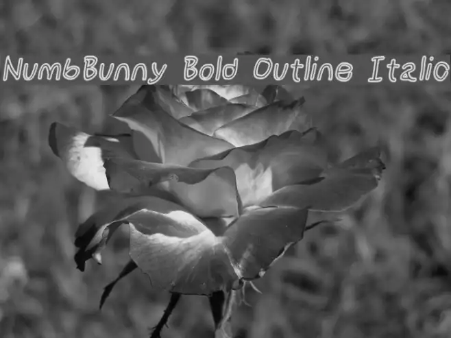 NumbBunny Bold Outline Italic Example 2