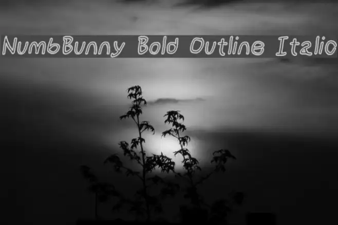 NumbBunny Bold Outline Italic Example 3