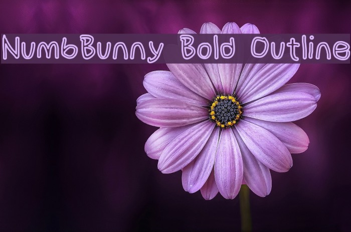 NumbBunny Bold Outline Font examples