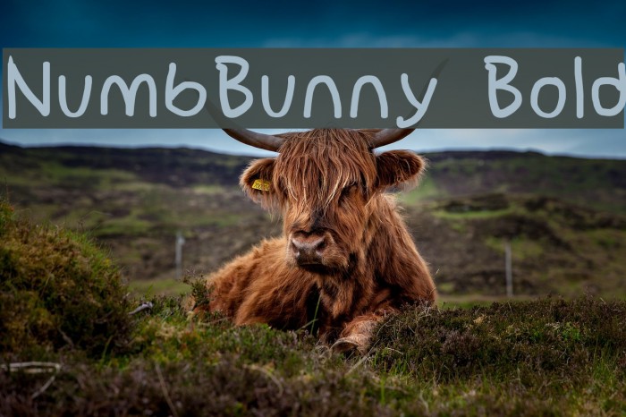 NumbBunny Bold Font examples