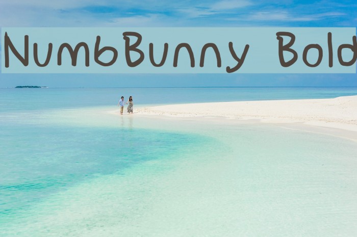 NumbBunny Bold Font examples