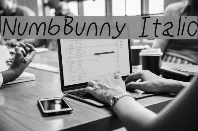 NumbBunny Italic examples