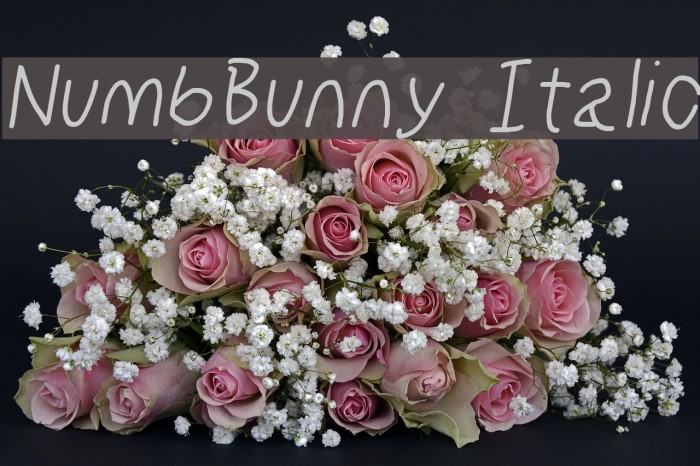 NumbBunny Italic Font examples