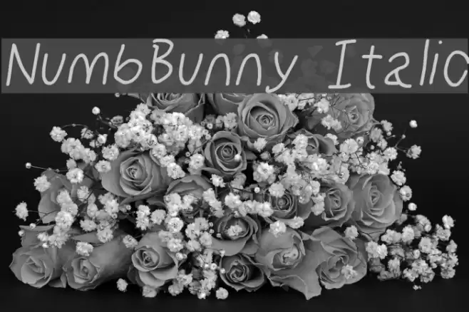 NumbBunny Italic examples