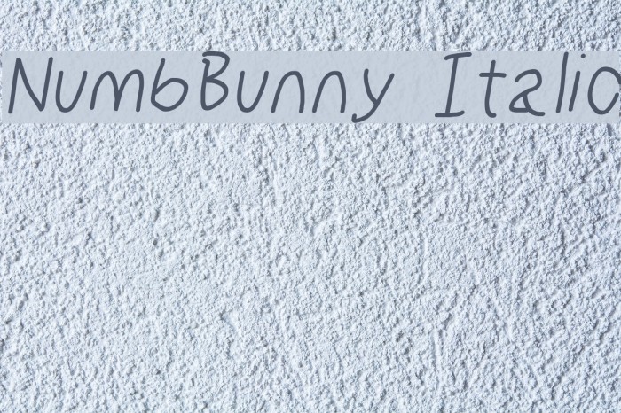 NumbBunny Italic Font examples