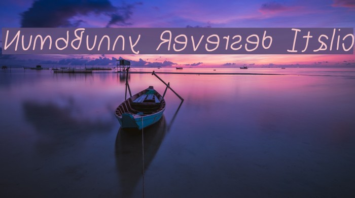 NumbBunny Reversed Italic Font examples