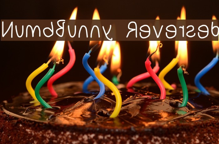 NumbBunny Reversed Font examples
