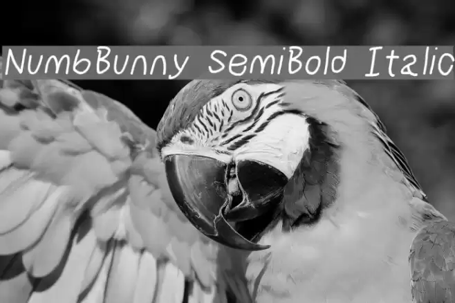 NumbBunny SemiBold Italic Font examples