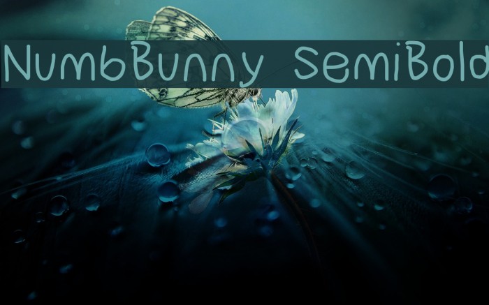 NumbBunny SemiBold Example 1