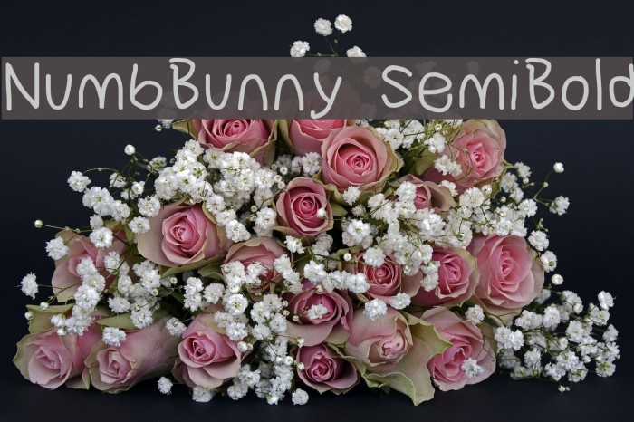 NumbBunny SemiBold Example 2