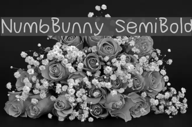 NumbBunny SemiBold Font examples