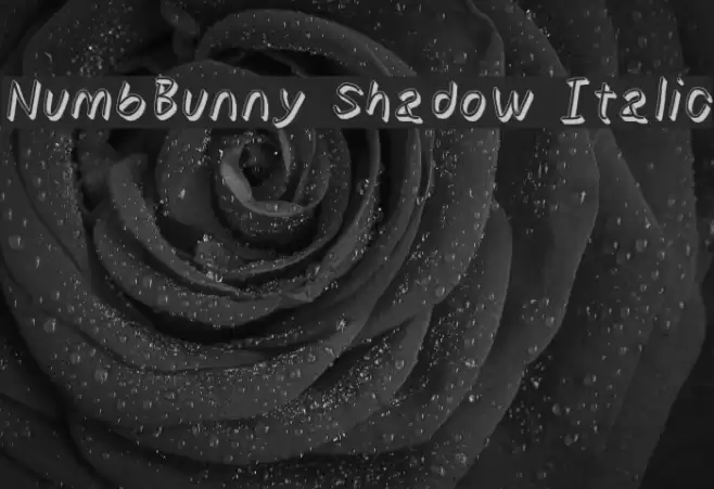 NumbBunny Shadow Italic Font examples