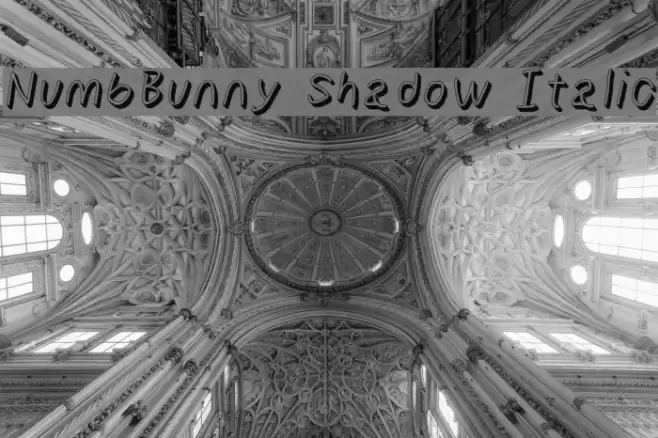 NumbBunny Shadow Italic Font examples