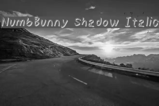 NumbBunny Shadow Italic Font examples