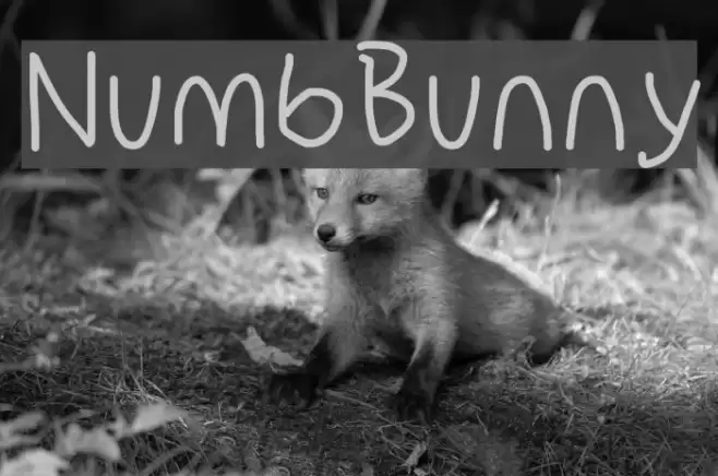 NumbBunny Font examples