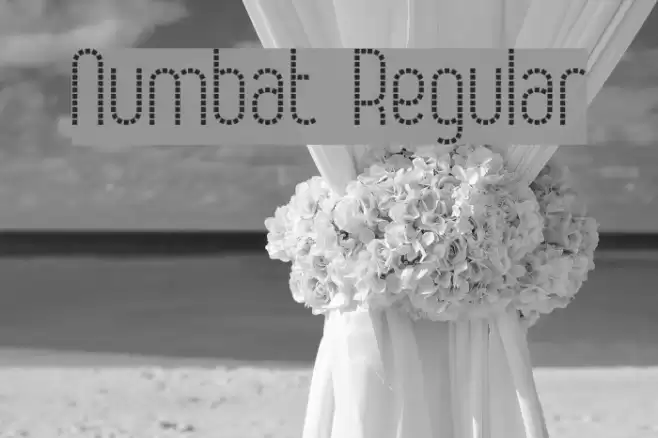 Numbat Regular Font examples