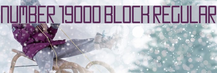Number 19000 Block Regular Font examples