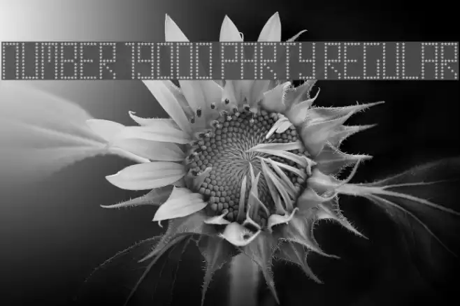 Number 19000 Party Regular Font examples