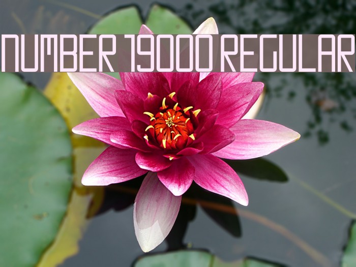 Number 19000 Regular Font examples